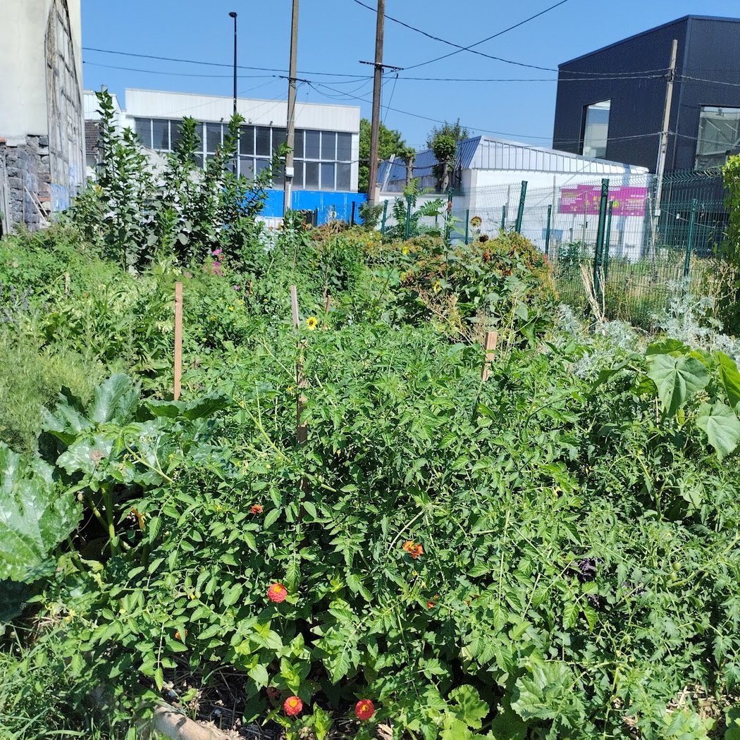 Espérance Garden 1